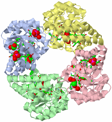 Image Asym./Biol. Unit - sites