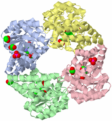 Image Asym./Biol. Unit