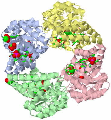 Image Asym./Biol. Unit - sites