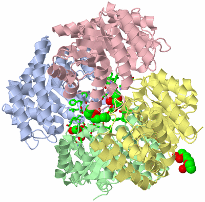 Image Biol. Unit 1 - sites