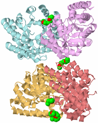 Image Biological Unit 2