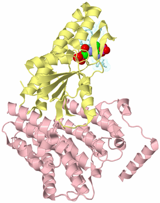 Image Biological Unit 2