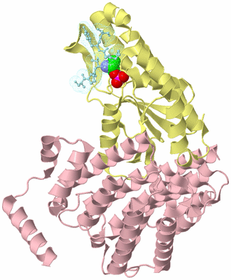 Image Biological Unit 2