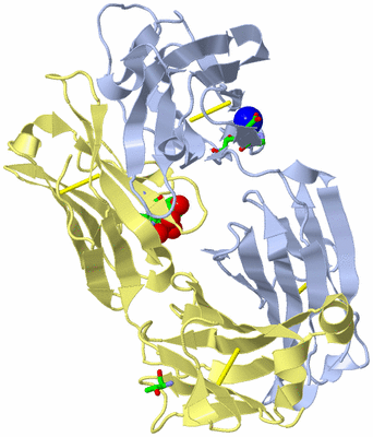 Image Biol. Unit 1 - sites