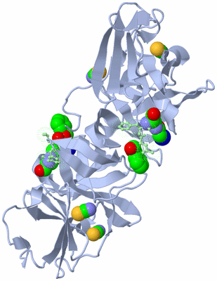 Image Biological Unit 1