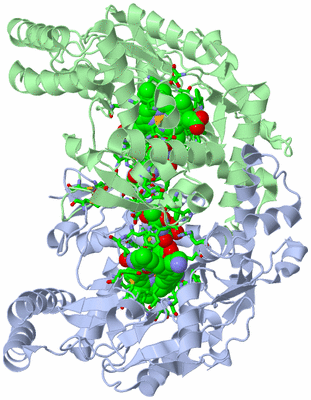 Image Asym./Biol. Unit - sites