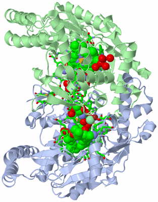 Image Asym./Biol. Unit - sites