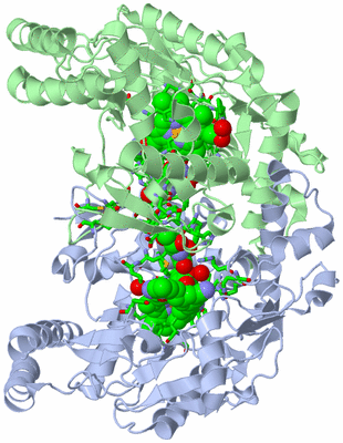 Image Asym./Biol. Unit - sites