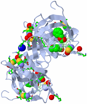 Image Biol. Unit 1 - sites