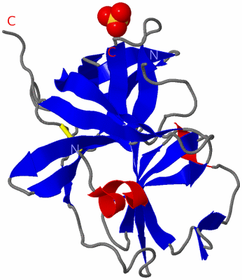 Image Asymmetric Unit