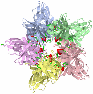 Image Biol. Unit 1 - sites