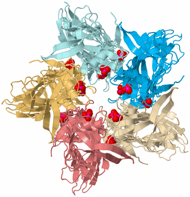 Image Biological Unit 2