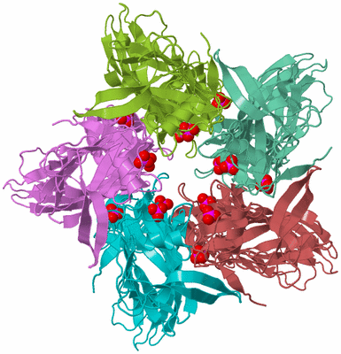 Image Biological Unit 3