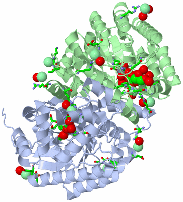 Image Biol. Unit 1 - sites