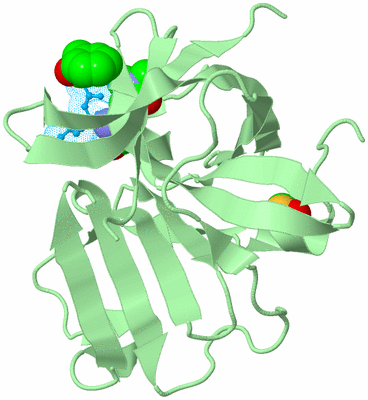 Image Biological Unit 3