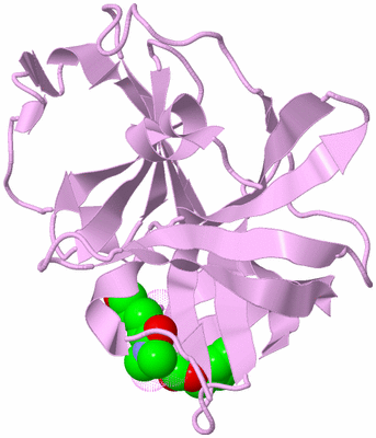 Image Biological Unit 4