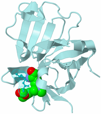 Image Biological Unit 5