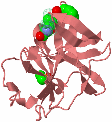 Image Biological Unit 6