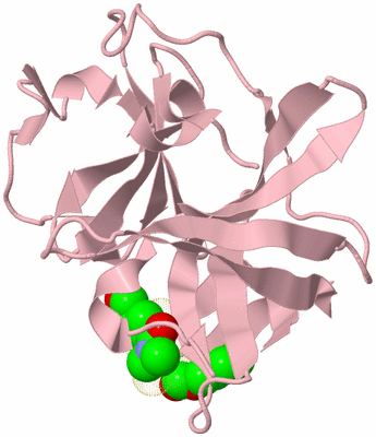 Image Biological Unit 8