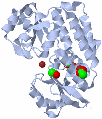 Image Biological Unit 1