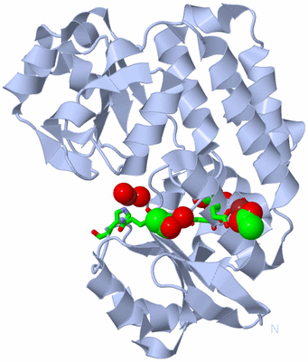 Image Biol. Unit 1 - sites