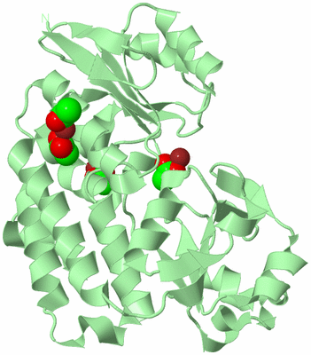 Image Biological Unit 2