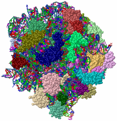 Image Asym./Biol. Unit