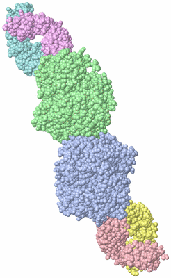 Image Asym./Biol. Unit