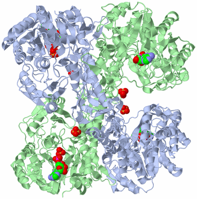 Image Biological Unit 1