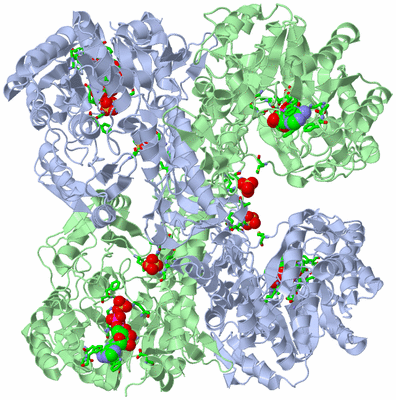 Image Biol. Unit 1 - sites