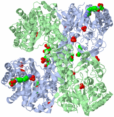 Image Biological Unit 2