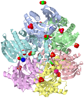 Image Asym./Biol. Unit