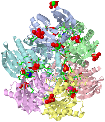 Image Asym./Biol. Unit - sites