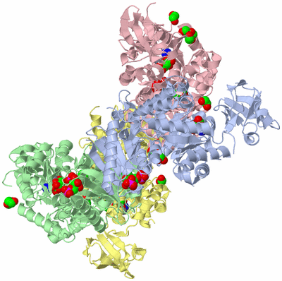 Image Asym./Biol. Unit