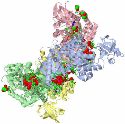 Image Asym./Biol. Unit - sites