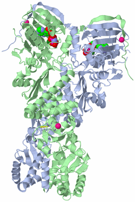 Image Asym./Biol. Unit