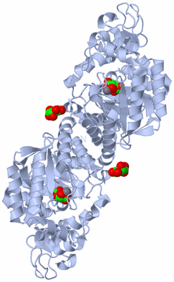 Image Biological Unit 1