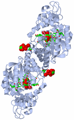 Image Biol. Unit 1 - sites