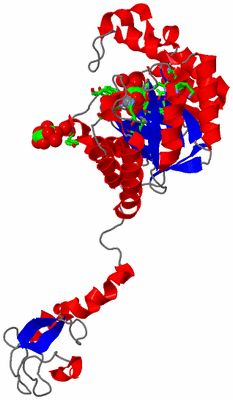 Image Asym. Unit - sites