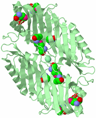 Image Biological Unit 2