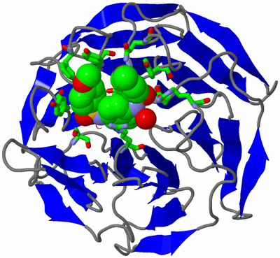 Image Asym./Biol. Unit - sites