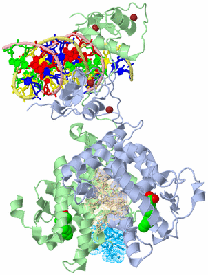 Image Biological Unit 1