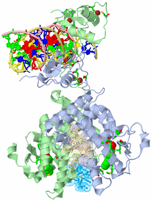 Image Biol. Unit 1 - sites