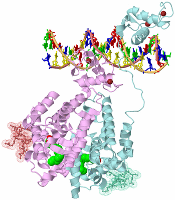 Image Biological Unit 2