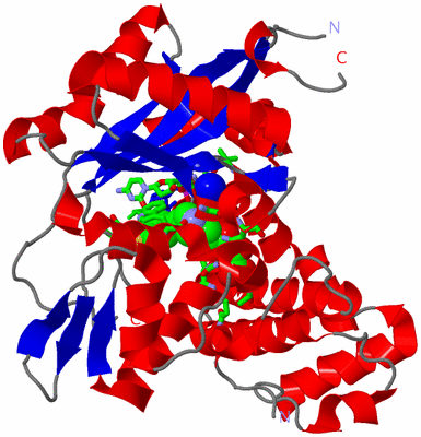 Image Asym./Biol. Unit - sites