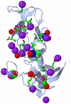 Image Biol. Unit 1 - sites