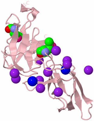 Image Biological Unit 3