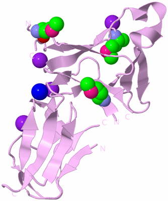 Image Biological Unit 5