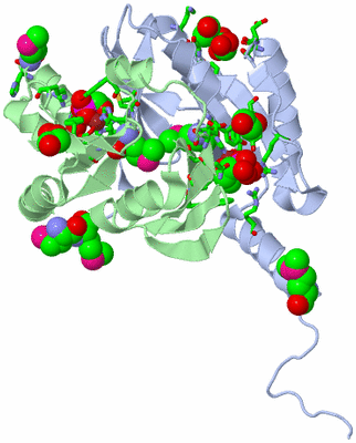 Image Asym./Biol. Unit - sites