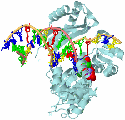 Image Biological Unit 1